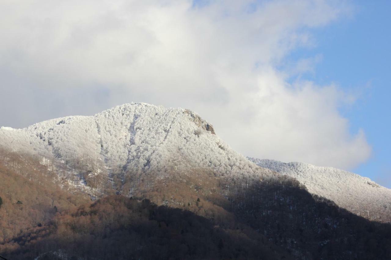 Maison Du Coue Pyrenees Mourtis Gite Pour 2 A 12 Pers Sengouagnet Kültér fotó