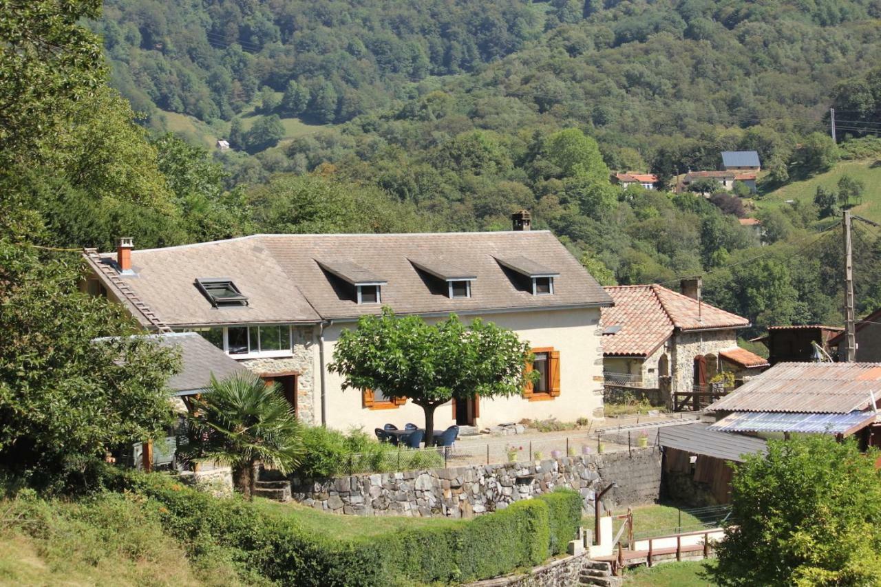Maison Du Coue Pyrenees Mourtis Gite Pour 2 A 12 Pers Sengouagnet Kültér fotó